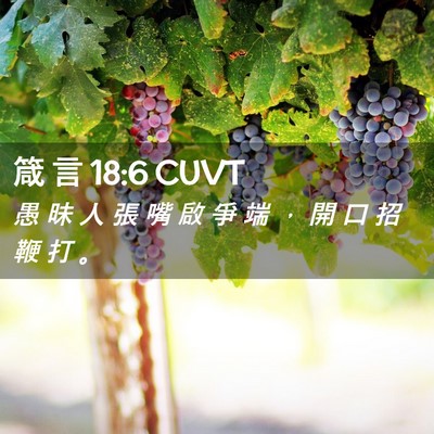 Picture 02 - 箴 言 18:6 CUVT - 愚 昧 人 張 嘴 啟 爭 端 ， 開 口 招 - Bible Verse Picture