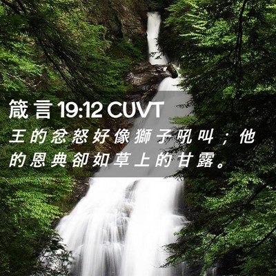 Picture 02 - 箴 言 19:12 CUVT - 王 的 忿 怒 好 像 獅 子 吼 叫 ； 他 - Bible Verse Picture