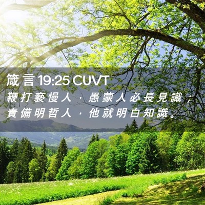 Picture 02 - 箴 言 19:25 CUVT - 鞭 打 褻 慢 人 ， 愚 蒙 人 必 長 見 - Bible Verse Picture