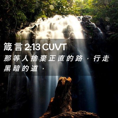 Picture 02 - 箴 言 2:13 CUVT - 那 等 人 捨 棄 正 直 的 路 ， 行 走 - Bible Verse Picture