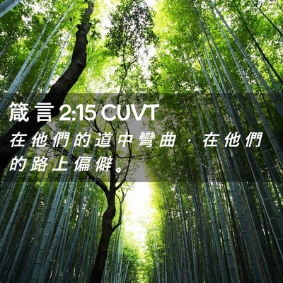 Picture 02 - 箴 言 2:15 CUVT - 在 他 們 的 道 中 彎 曲 ， 在 他 們 - Bible Verse Picture