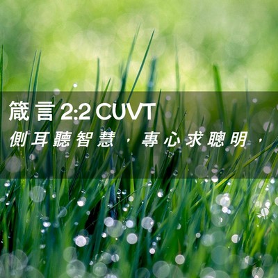 Picture 02 - 箴 言 2:2 CUVT - 側 耳 聽 智 慧 ， 專 心 求 聰 明 - Bible Verse Picture