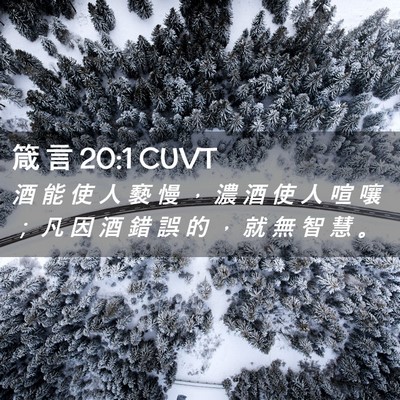 Picture 02 - 箴 言 20:1 CUVT - 酒 能 使 人 褻 慢 ， 濃 酒 使 人 喧 - Bible Verse Picture