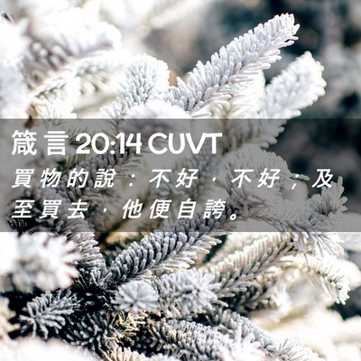 Picture 02 - 箴 言 20:14 CUVT - 買 物 的 說 ： 不 好 ， 不 好 ； 及 - Bible Verse Picture
