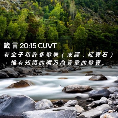 Picture 02 - 箴 言 20:15 CUVT - 有 金 子 和 許 多 珍 珠 （ 或 譯 ： - Bible Verse Picture