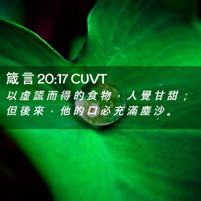 Picture 02 - 箴 言 20:17 CUVT - 以 虛 謊 而 得 的 食 物 ， 人 覺 甘 - Bible Verse Picture