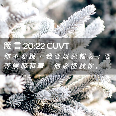 Picture 02 - 箴 言 20:22 CUVT - 你 不 要 說 ， 我 要 以 惡 報 惡 ； - Bible Verse Picture