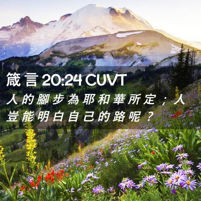 Picture 02 - 箴 言 20:24 CUVT - 人 的 腳 步 為 耶 和 華 所 定 ； 人 - Bible Verse Picture