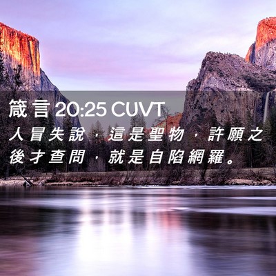 Picture 02 - 箴 言 20:25 CUVT - 人 冒 失 說 ， 這 是 聖 物 ， 許 願 - Bible Verse Picture