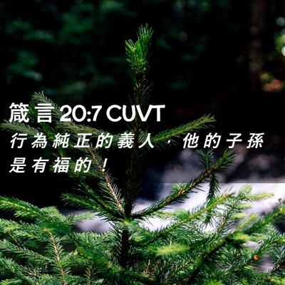 Picture 02 - 箴 言 20:7 CUVT - 行 為 純 正 的 義 人 ， 他 的 子 孫 - Bible Verse Picture