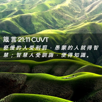 Picture 02 - 箴 言 21:11 CUVT - 褻 慢 的 人 受 刑 罰 ， 愚 蒙 的 人 - Bible Verse Picture