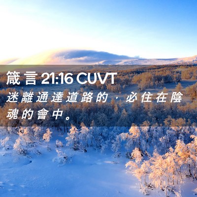 Picture 02 - 箴 言 21:16 CUVT - 迷 離 通 達 道 路 的 ， 必 住 在 陰 - Bible Verse Picture