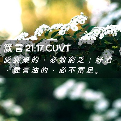 Picture 02 - 箴 言 21:17 CUVT - 愛 宴 樂 的 ， 必 致 窮 乏 ； 好 酒 - Bible Verse Picture