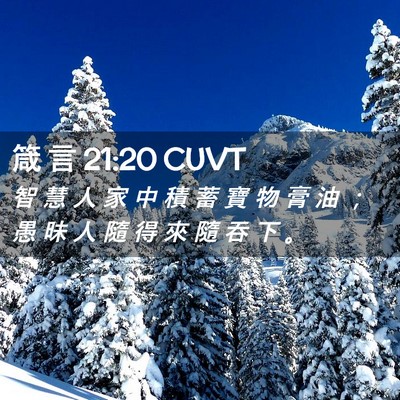Picture 02 - 箴 言 21:20 CUVT - 智 慧 人 家 中 積 蓄 寶 物 膏 油 ； - Bible Verse Picture