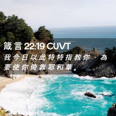 Picture 02 - 箴 言 22:19 CUVT - 我 今 日 以 此 特 特 指 教 你 ， 為 - Bible Verse Picture