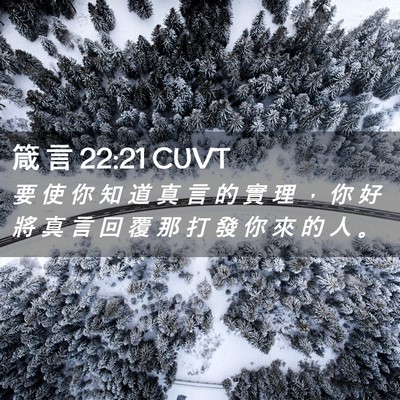 Picture 02 - 箴 言 22:21 CUVT - 要 使 你 知 道 真 言 的 實 理 ， 你 - Bible Verse Picture