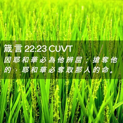 Picture 02 - 箴 言 22:23 CUVT - 因 耶 和 華 必 為 他 辨 屈 ； 搶 奪 - Bible Verse Picture