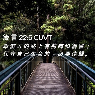 Picture 02 - 箴 言 22:5 CUVT - 乖 僻 人 的 路 上 有 荊 棘 和 網 羅 - Bible Verse Picture