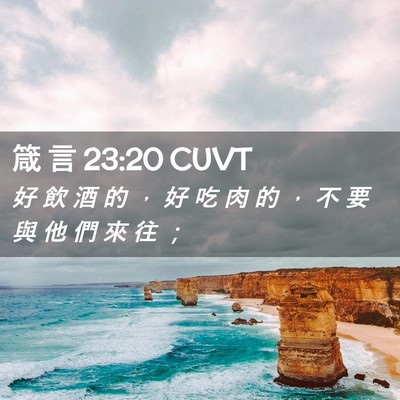 Picture 02 - 箴 言 23:20 CUVT - 好 飲 酒 的 ， 好 吃 肉 的 ， 不 要 - Bible Verse Picture