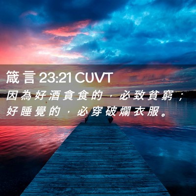 Picture 02 - 箴 言 23:21 CUVT - 因 為 好 酒 貪 食 的 ， 必 致 貧 窮 - Bible Verse Picture
