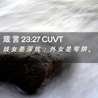 Picture 02 - 箴 言 23:27 CUVT - 妓 女 是 深 坑 ； 外 女 是 窄 阱 - Bible Verse Picture