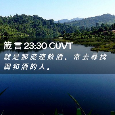 Picture 02 - 箴 言 23:30 CUVT - 就 是 那 流 連 飲 酒 、 常 去 尋 找 - Bible Verse Picture