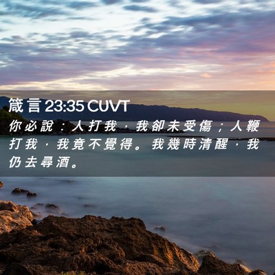 Picture 02 - 箴 言 23:35 CUVT - 你 必 說 ： 人 打 我 ， 我 卻 未 受 - Bible Verse Picture