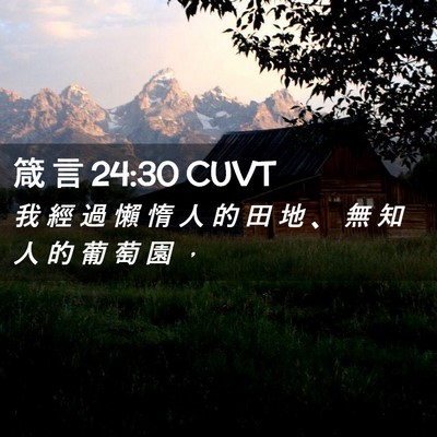 Picture 02 - 箴 言 24:30 CUVT - 我 經 過 懶 惰 人 的 田 地 、 無 知 - Bible Verse Picture
