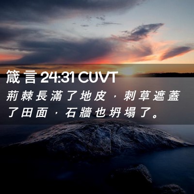 Picture 02 - 箴 言 24:31 CUVT - 荊 棘 長 滿 了 地 皮 ， 刺 草 遮 蓋 - Bible Verse Picture