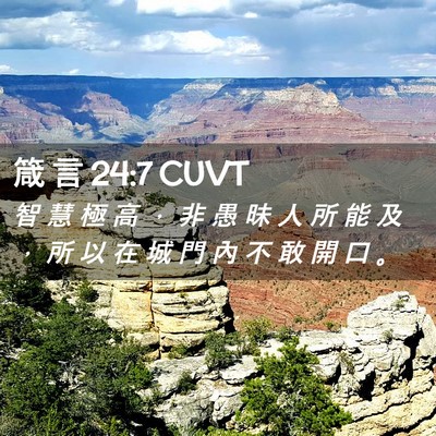 Picture 02 - 箴 言 24:7 CUVT - 智 慧 極 高 ， 非 愚 昧 人 所 能 及 - Bible Verse Picture