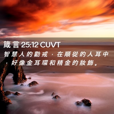 Picture 02 - 箴 言 25:12 CUVT - 智 慧 人 的 勸 戒 ， 在 順 從 的 人 - Bible Verse Picture
