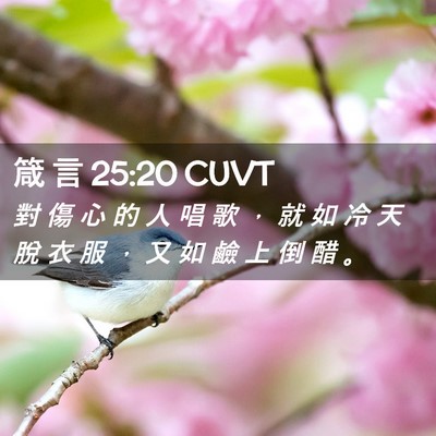 Picture 02 - 箴 言 25:20 CUVT - 對 傷 心 的 人 唱 歌 ， 就 如 冷 天 - Bible Verse Picture