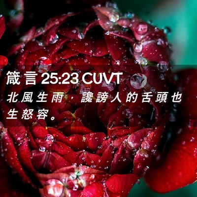 Picture 02 - 箴 言 25:23 CUVT - 北 風 生 雨 ， 讒 謗 人 的 舌 頭 也 - Bible Verse Picture