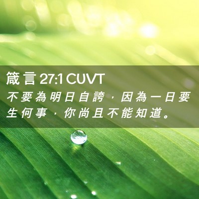 Picture 02 - 箴 言 27:1 CUVT - 不 要 為 明 日 自 誇 ， 因 為 一 日 - Bible Verse Picture