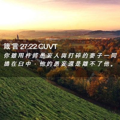 Picture 02 - 箴 言 27:22 CUVT - 你 雖 用 杵 將 愚 妄 人 與 打 碎 的 - Bible Verse Picture