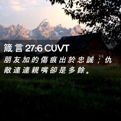 Picture 02 - 箴 言 27:6 CUVT - 朋 友 加 的 傷 痕 出 於 忠 誠 ； 仇 - Bible Verse Picture