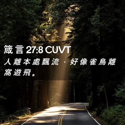 Picture 02 - 箴 言 27:8 CUVT - 人 離 本 處 飄 流 ， 好 像 雀 鳥 離 - Bible Verse Picture