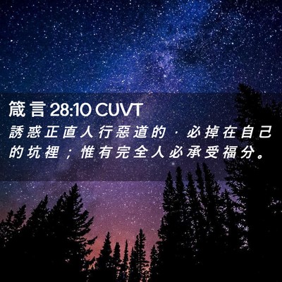 Picture 02 - 箴 言 28:10 CUVT - 誘 惑 正 直 人 行 惡 道 的 ， 必 掉 - Bible Verse Picture