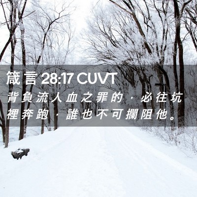 Picture 02 - 箴 言 28:17 CUVT - 背 負 流 人 血 之 罪 的 ， 必 往 坑 - Bible Verse Picture