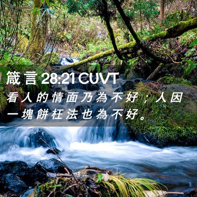 Picture 02 - 箴 言 28:21 CUVT - 看 人 的 情 面 乃 為 不 好 ； 人 因 - Bible Verse Picture