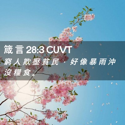 Picture 02 - 箴 言 28:3 CUVT - 窮 人 欺 壓 貧 民 ， 好 像 暴 雨 沖 - Bible Verse Picture