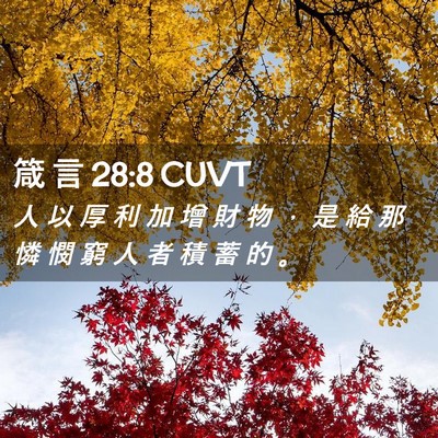 Picture 02 - 箴 言 28:8 CUVT - 人 以 厚 利 加 增 財 物 ， 是 給 那 - Bible Verse Picture