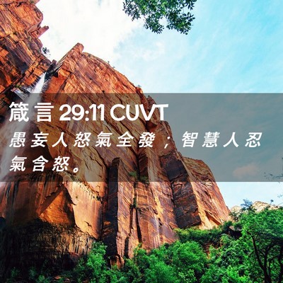 Picture 02 - 箴 言 29:11 CUVT - 愚 妄 人 怒 氣 全 發 ； 智 慧 人 忍 - Bible Verse Picture