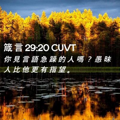Picture 02 - 箴 言 29:20 CUVT - 你 見 言 語 急 躁 的 人 嗎 ？ 愚 昧 - Bible Verse Picture
