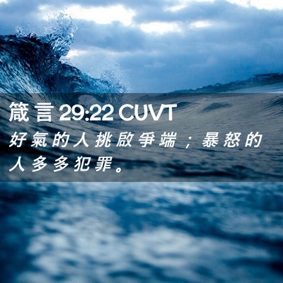 Picture 02 - 箴 言 29:22 CUVT - 好 氣 的 人 挑 啟 爭 端 ； 暴 怒 的 - Bible Verse Picture