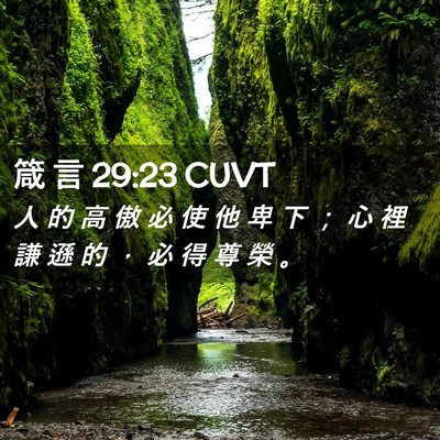 Picture 02 - 箴 言 29:23 CUVT - 人 的 高 傲 必 使 他 卑 下 ； 心 裡 - Bible Verse Picture