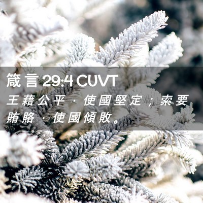 Picture 02 - 箴 言 29:4 CUVT - 王 藉 公 平 ， 使 國 堅 定 ； 索 要 - Bible Verse Picture