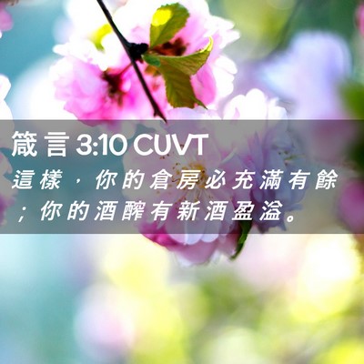 Picture 02 - 箴 言 3:10 CUVT - 這 樣 ， 你 的 倉 房 必 充 滿 有 餘 - Bible Verse Picture