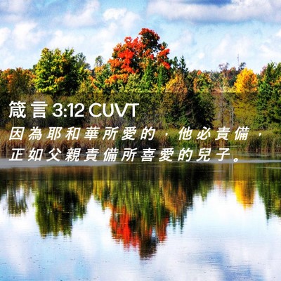 Picture 02 - 箴 言 3:12 CUVT - 因 為 耶 和 華 所 愛 的 ， 他 必 責 - Bible Verse Picture