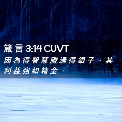 Picture 02 - 箴 言 3:14 CUVT - 因 為 得 智 慧 勝 過 得 銀 子 ， 其 - Bible Verse Picture
